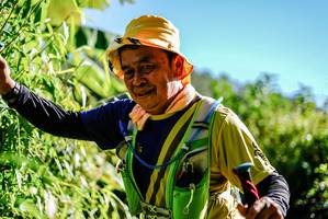 BIB: 
                            <button type="button" onclick="openModal(19300176)" class="btn btn-primary btn-sm float-right btn-popup" data-toggle="modal" data-target=".modal-high-quality">
                        <i class="fas fa-shopping-cart"></i> Add to Cart
                    </button>
                                            <button type="button" onclick="isThisMe(19300176, true)" class="btn btn-success btn-sm float-right btn-popup btn-isme hidden" data-toggle="tooltip" data-placement="bottom" title="นี่คือรูปของคุณใช่ไหม คลิกที่นี่เพื่อเอาเข้าอัลบั้ม">
                        <i class="fas fa-plus"></i> Add to album
                    </button>
                    <button type="button" onclick="isThisMe(19300176, false)" class="btn btn-warning btn-sm float-right btn-popup btn-isnotme hidden">
                        <i class="fas fa-ban"></i> Remove from album
                    </button>